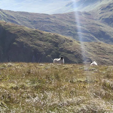 The Connemara - Sleepzone Hostel *