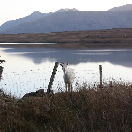 The Connemara - Sleepzone Vandrerhjem