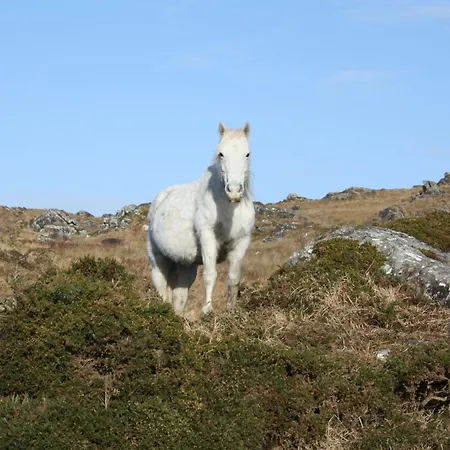 The Connemara - Sleepzone
